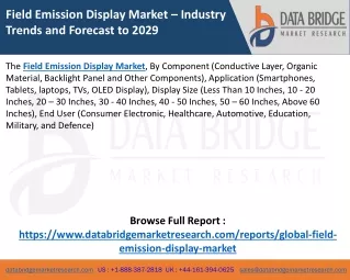 Field Emission Display Market