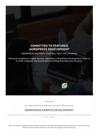 Best WordPress Development Services Provide in 2024