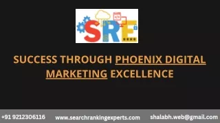 Success through Phoenix Digital Marketing Excellence