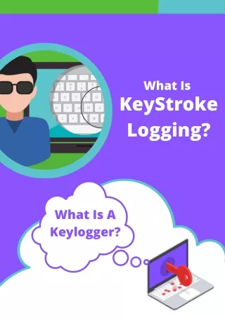 Keystoke Logging