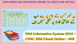 EXPLORING SIM DATABASE ONLINE TO CHECK SIM DETAILS