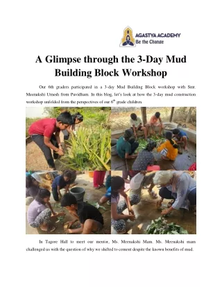 A Glimpse through the 3-Day Mud Building Block Workshop