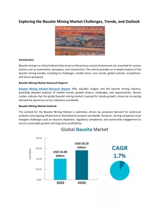 Exploring the Bauxite Mining Market Challenges