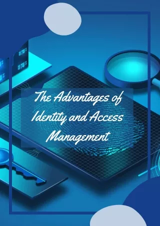 The Advantages of Identity and Access Management (1)