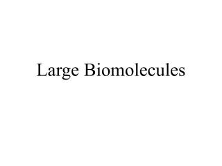 Large Biomolecules
