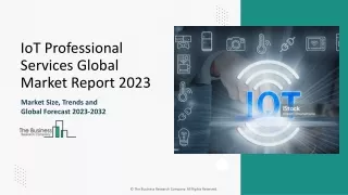 IoT Professional Services Market Size, Industry Share, Analysis 2024-2033