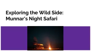 Exploring the Wild Side: Munnar's Night Safari