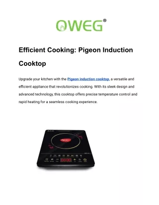 Efficient Cooking: Pigeon Electric Stove