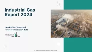 Global Industrial Gas Opportunities And Strategies Market Report