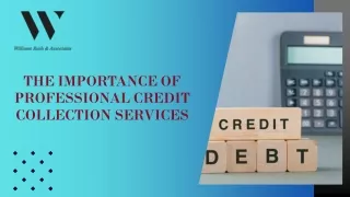 The Importance of Professional Credit Collection Services