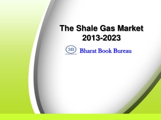 The Shale Gas Market 2013-2023