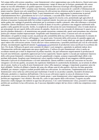 Semi Femminizzati per Risultati Immediati
