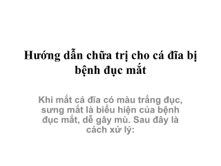 Hướng dẫn chữa trị cho cá đĩa bị bệnh mắt đục