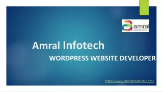 WordPress Website Developer in Pune|Amral Infotech