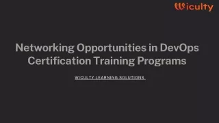 Networking Opportunities in DevOps Certification Training Programs
