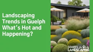 Landscaping Trends in Guelph What's Hot and Happening