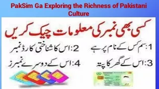 PakSim Ga Exploring the Richness of Pakistani Culture
