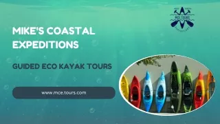 Naples' Best Kayak Rentals