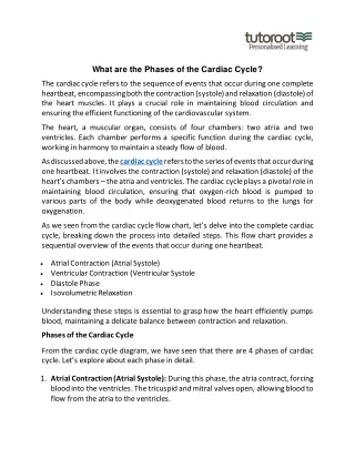 What are the Phases of the Cardiac Cycle?