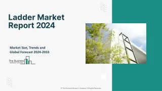 Ladder Market Statistics, Trends, Growth Revenue, Industry Demand Forecast 2033