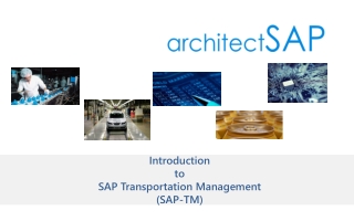 Introduction-SAP Transportation
