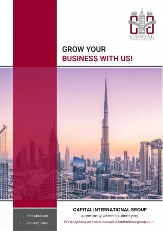 CIG Dubai - Business Setup Company Profile