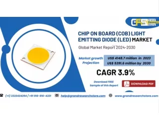 300 mm Wafer Electrostatic Chucks (ESC) Market, Global Outlook and Forecast 2023-2030