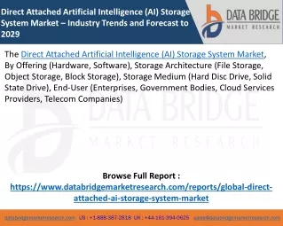 Direct Attached Artificial Intelligence (AI) Storage System Market