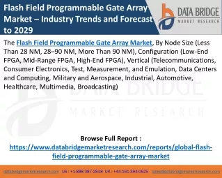 Flash Field Programmable Gate Array Market