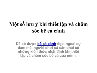 Một số lưu ý khi thiết lập và chăm sóc bể cá cảnh