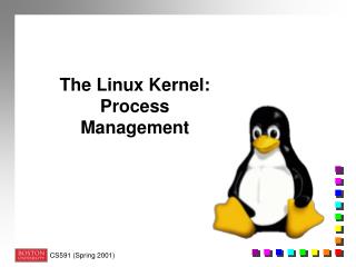 The Linux Kernel: Process Management