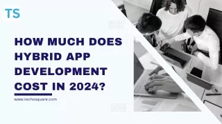 How Much Does Hybrid App Development Cost in 2024 PPT