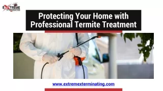 Protecting Your Home with Professional Termite Treatment