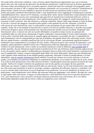 Raccolti Lampo con Semi Femminizzati
