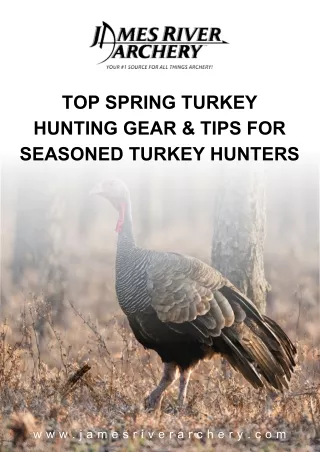 Gear and Advice for Experienced Turkey Hunters in the Spring Season