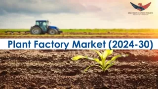 Plant Factory Market Size, Trends and Growth Opportunities for 2024–2030