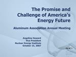 The Promise and Challenge of America s Energy Future Aluminum Association Annual Meeting