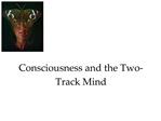 Consciousness and the Two-Track Mind