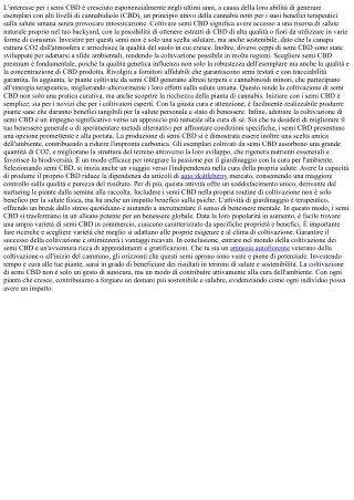 Potere del CBD: Opta per Semi di Qualità