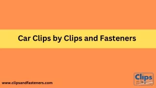 Car Clips