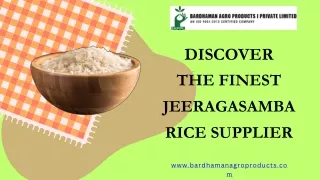 Discover the Finest Jeeragasamba Rice Supplier