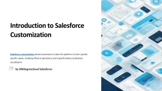 Salesforce Customization Services 360 Degree Cloud