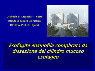 Ospedale di Cattinara - Trieste Istituto di Clinica Chirurgica Direttore Prof. G. Liguori