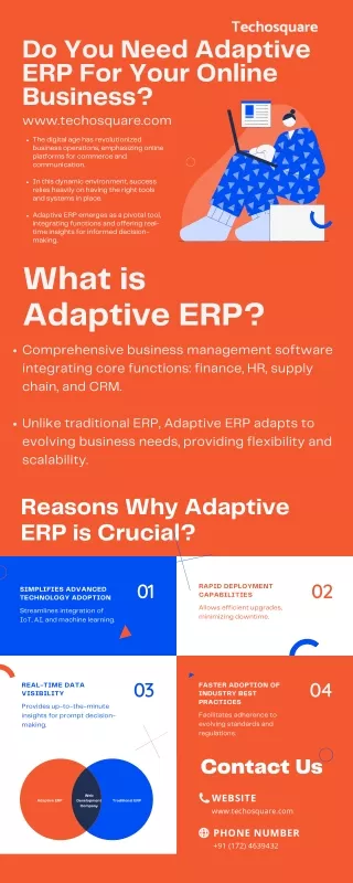Do You Need Adaptive ERP For Your Online Business (800 x 2000 px)
