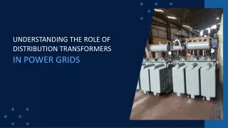 Understanding the Role of Distribution Transformers in Power Grids