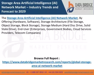 Storage Area Artificial Intelligence (AI) Network Market