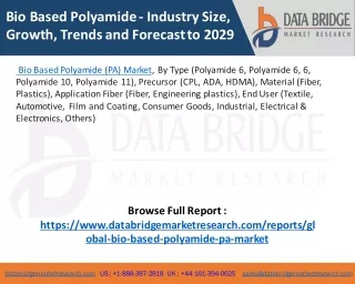 Bio Based Polyamide (PA) Market – Industry Trends and Forecast to 2029