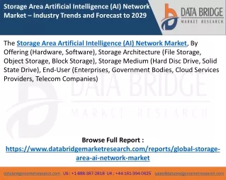 Storage Area Artificial Intelligence (AI) Network Market
