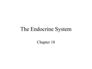 The Endocrine System
