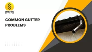 COMMON GUTTER PROBLEMS